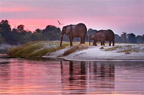 Luxury Safaris in East and Southern Africa - Micato Safaris