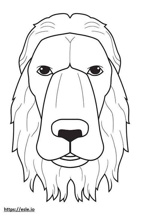 Old English Sheepdog Face Coloring Page