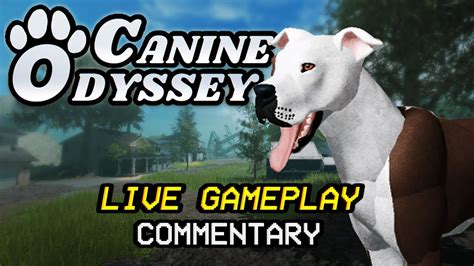 Dog Game Canine Odyssey Live Gameplay On Roblox Youtube