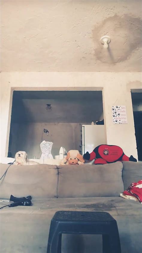 See Trough Pussy A Tal Da Ruivinha Nude Video On YouTube Nudeleted