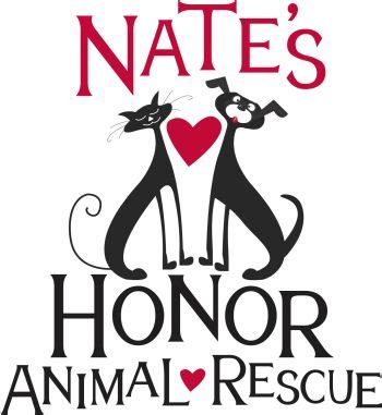 Pets for Adoption at Honor Animal Rescue, in Bradenton, FL | Petfinder