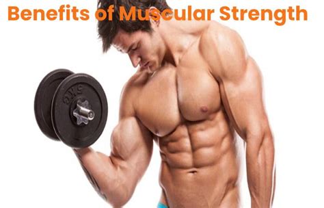 Muscular Strength Definition Benefits Exercises And More