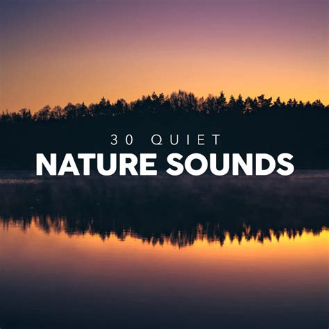 Quiet Nature Sounds Album By Nature Sounds Backgrounds Spotify