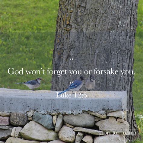 Wednesday Wisdom God Wont Forget You Hope Reflected