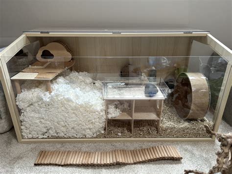 Setting Up The Prolee Hamster Cage Rachel Got Hamsters