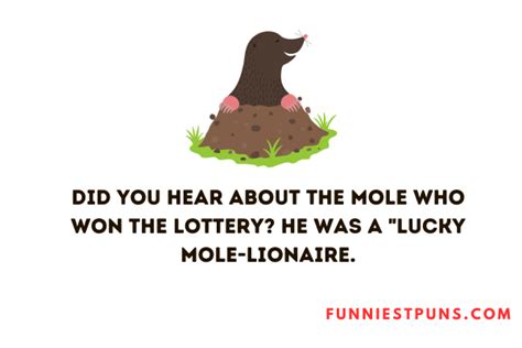 120 Funny Mole Puns Mole Tastic Humor Funniest Puns