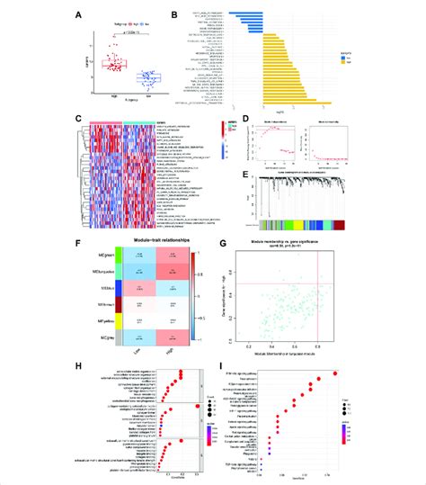 Biological Enrichment Analysis Of The Two M6A Subgroups Based On IGFBP3