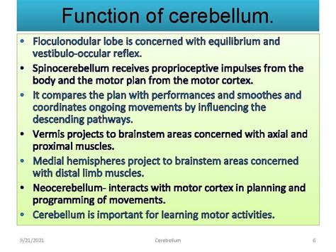 Cerebellum Prof K Sivapalan Cerebellum It Has A