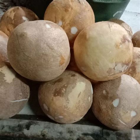 Kelapa Parut