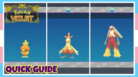 How To Evolve Torchic Into Combusken Into Blaziken In Pokemon Scarlet