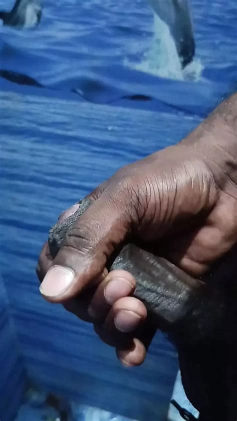 Mallu Black Cock Gay Porn Feat Nadakame Ulakam XHamster