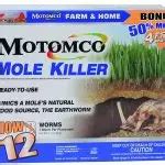 8 Best Mole Killer (Poison) Reviews (September - 2021)