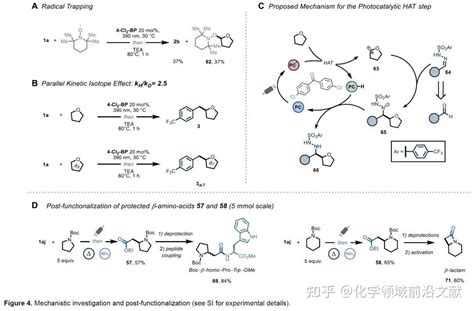 Angew：光催化磺酰腙参与的csp3−h烷基化反应 知乎