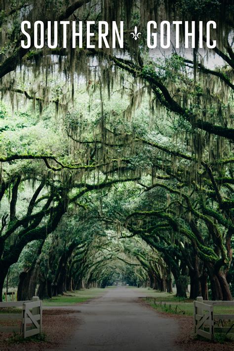 southern gothic movies 6