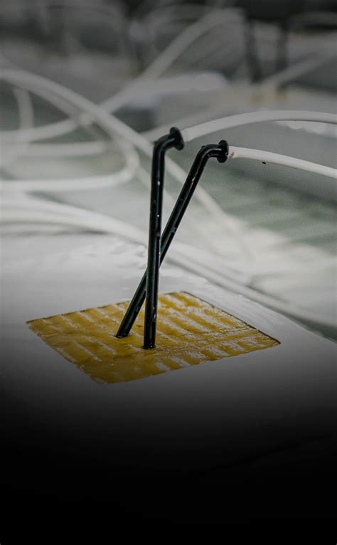 Clean Line | Cleaning Solution for your entire facility