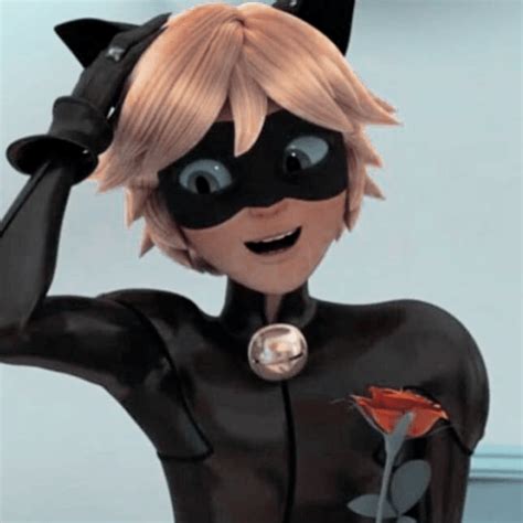 Cat Noir Aesthetic Pfp