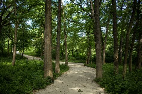 Online Tools for DuPage County Inmate and Arrest Record Searches 4