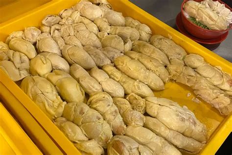 Punya Bau Yang Menyengat Durian Punya 5 Manfaat Untuk Kesehatan