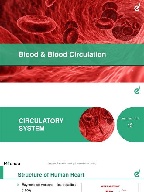 Circulatory System Pdf Heart Atrium Heart