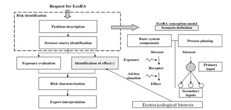 Role of ecotoxicological biotests in the ecological risk assessment ...