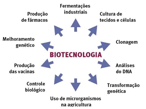 Areas De Atuação Da Biotecnologia - 6