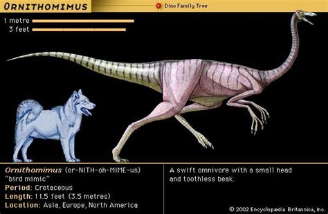 Theropod Dinosaur Suborder Britannica