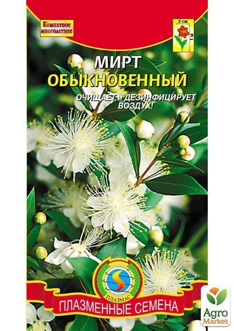 Мирт обыкновенный ТМ "Плазменные семена" 0,1г купить почтой в Одессе ...