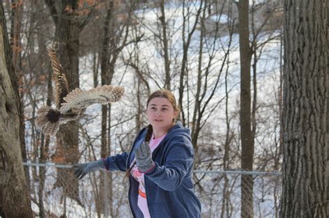 Become a Wildlife Rehabilitator — West Shore Wildlife Center