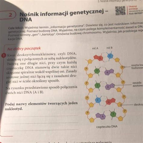 2 Nośnik informacji genetycznej DNA Cele lekcji Wyjaśnisz termin