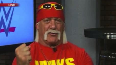 Hulk Hogan Fired By Wwe Removed From Website Over Use Of N Word Youtube