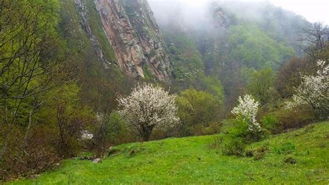 Arevik National Park - All You Need to Know BEFORE You Go (2024)