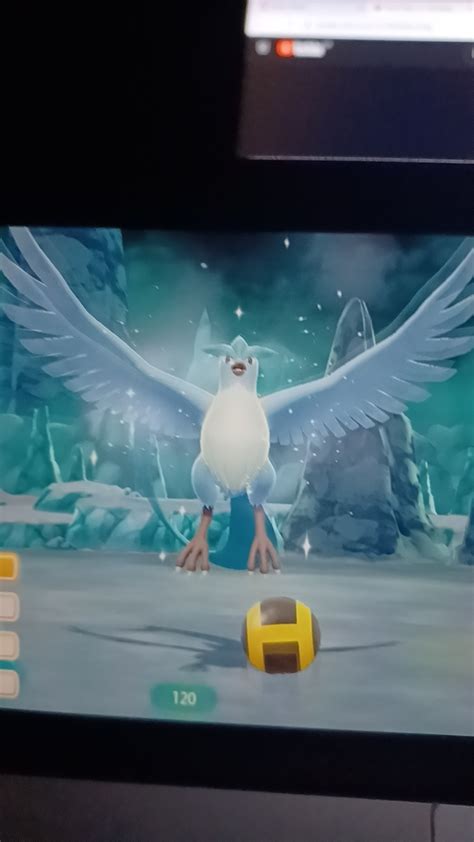 662 Best Articuno Images On Pholder Pokemongo The Silph Road And