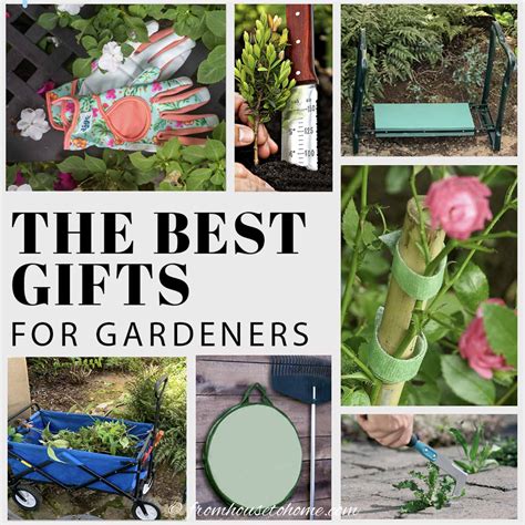 Best Ts For Gardeners In 2020 Plus 20 Other T Guides