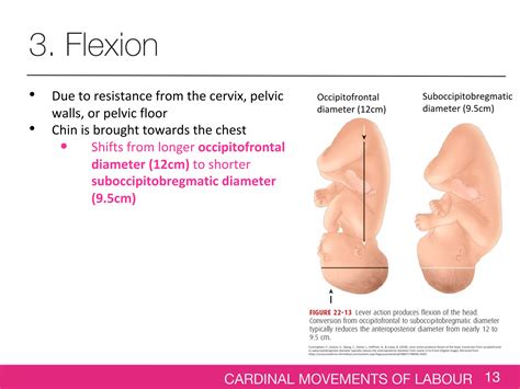 Cardinal Movements Of Labour 1 Ppt