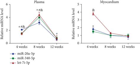 Temporal Expression Of MiR 20a 5p MiR 340 5p And Let 7i 5p In The