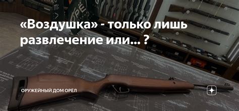«Воздушка» - только лишь развлечение или… ? | Оружейный дом Орёл | Дзен