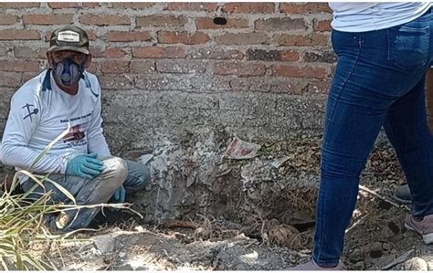 Localizan Restos Seos En Tlaquepaque Telediario M Xico