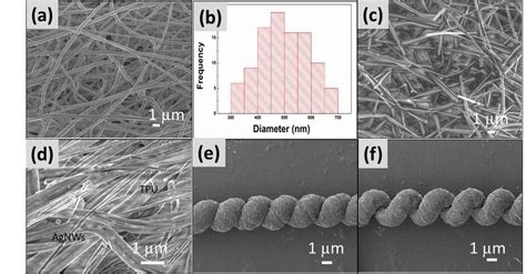 A Sem Image Of The Electrospun Tpu Nanofibrous Membrane B Diameter