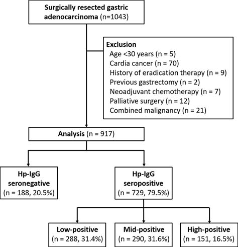 Study patients and their classification into groups according to their ...