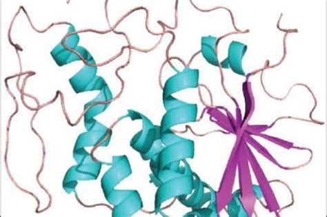 A Computational Perspective Of Molecular Interactions Through Virtual