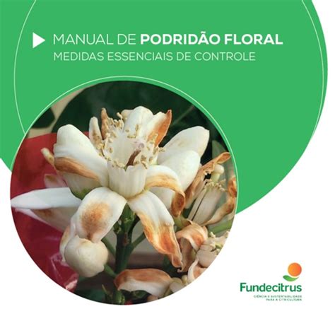 Podridão floral