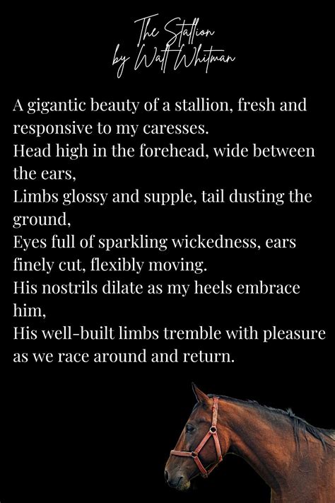27 Inspirational Horse Poems - Aestheticpoems