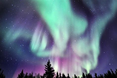 Yellowknife Tourism Northern Lights Shelly Lighting