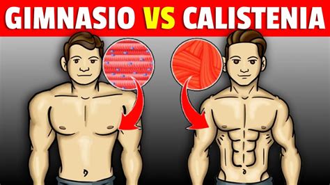 Gimnasio Vs Calistenia Cu L Es Mejor Basado En La Ciencia Cuerpo