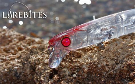 APIA Lammtarra & Lammtarra Badel