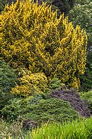 Holt Photobotanic Stock Photography Garden Library