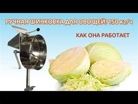 Шинковка Для Капусты Ручная Фото — Bluemorphotours.ru