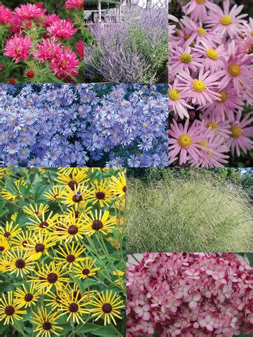 Colorful Fall Garden | Bluestone Perennials