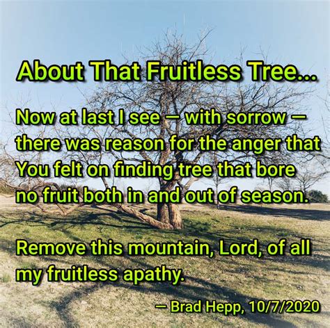 About That Fruitless Tree - Brad Hepp's Miscellany