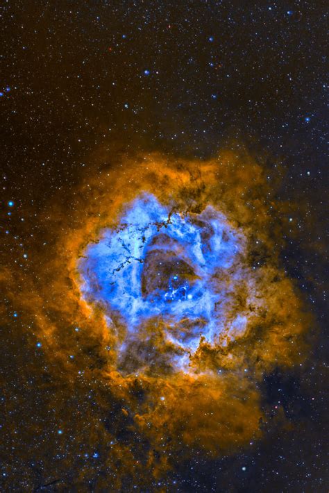 Rosette Nebula In Sho Palette R Astrophotography